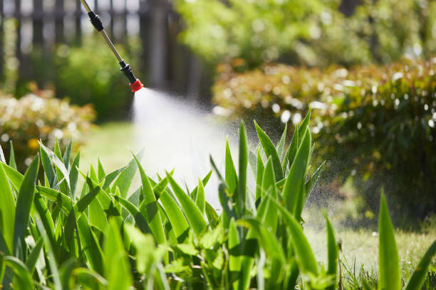 24/7 Emergency Mosquito Control experts in Farmville, VA